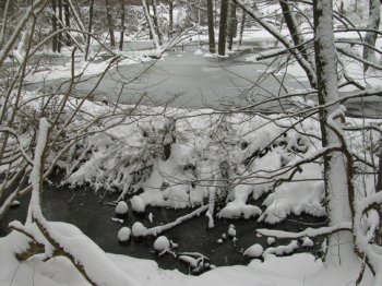 Winter im Biberrevier Winter im Biberrevier